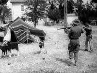 Massacres du 8 mai 1945 : une réponse 