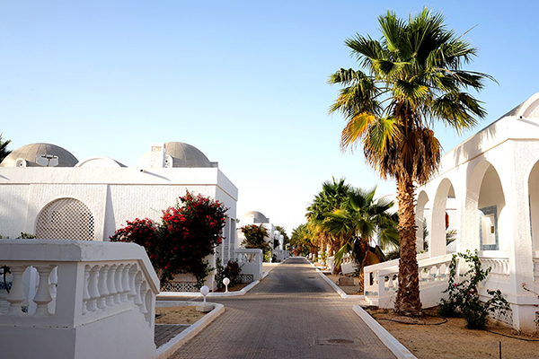 هل سيحقق قطاع السياحة في الوادي النتائج المرجوة؟