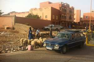 طلمين بأدرار .. بلدية بحاجة لانتفاضة تنموية