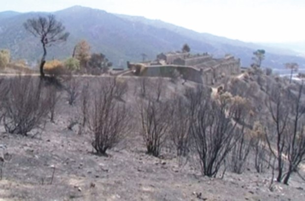 Les incendies continuent de dévaster le patrimoine forestier