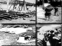 Algérie-France : le président Bouteflika affirme la nécessité d'une lecture objective de l'histoire