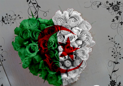 الملاحظون الدوليون والمترشحون في مسيرة ضخمة بوسط قالمة