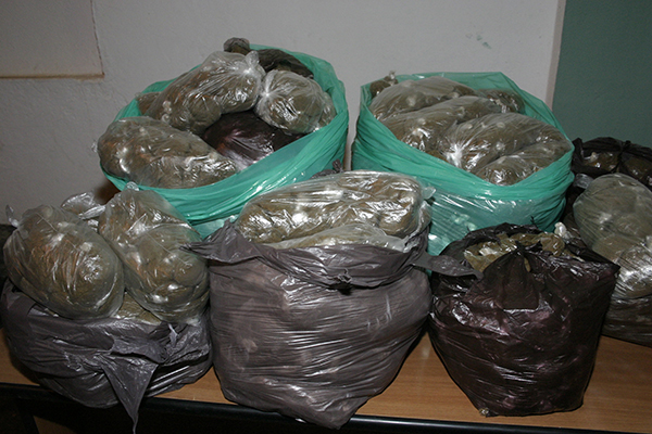 حجز ما قيمته 30 مليارا من التبغ المقلد بسطيف