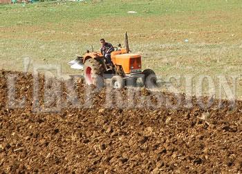 Ça fait peur à Oran!
