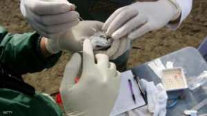 إستنفار في غرداية بسبب وباء أنفلونزا الطيور