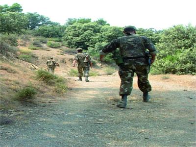 «Un terrorisme finissant ne peut avoir de tactique»