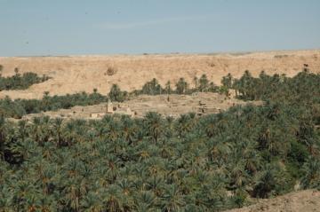 فلاحو نقرين بتبسة يشتكون من نقص الأسمدة وانعدام الطاقة الكهربائية