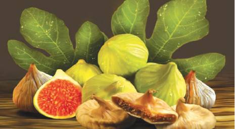 Des figueraies de la Kabylie aux hypermarchés de l'Europe