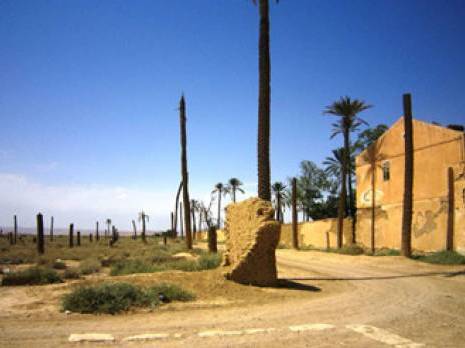 Des richesses à l'abandon