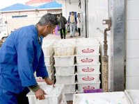 Augmentation de la production à un million de litres par jour