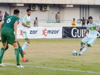 Les carottes sont presque cuites