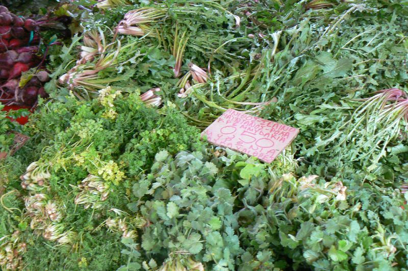 Coriandre en conserve