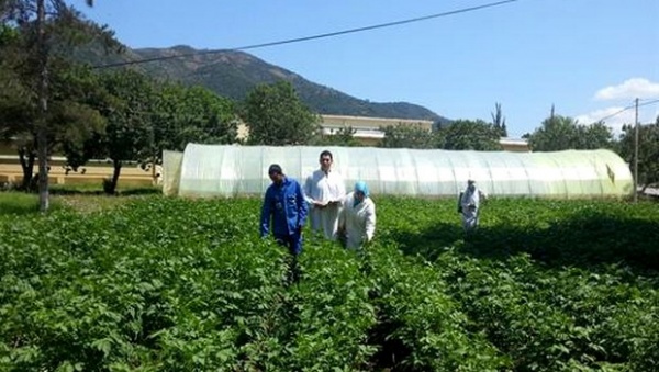 Oran: le CFPA de Misserghine, pôle d’excellence de formation agricole