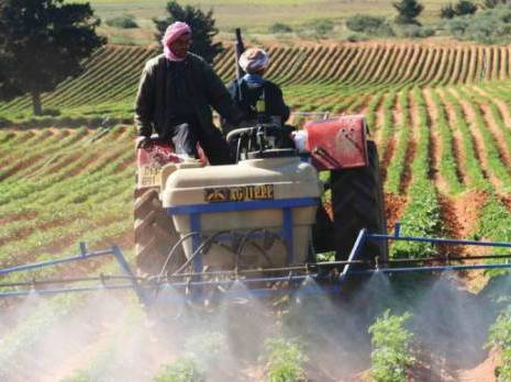 Les carences du secteur agricole accentuent l'insécurité alimentaire