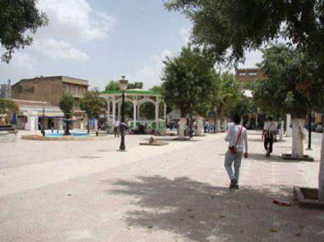 Promesses de prébendes et immunité