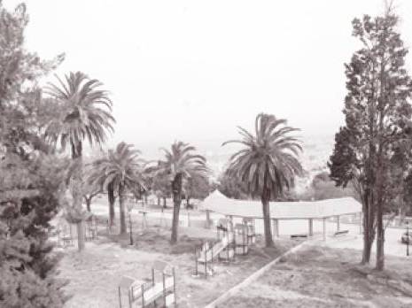 Etablissement de la wilaya Edeval : un effort pour l'embellissement de la capitale