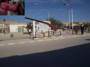 رضيع يتعرض للضرب داخل مستشفى بتبسة