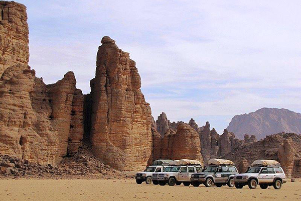 8 دراسات لحماية التنوّع البيولوجي بتمنراست وإيليزي