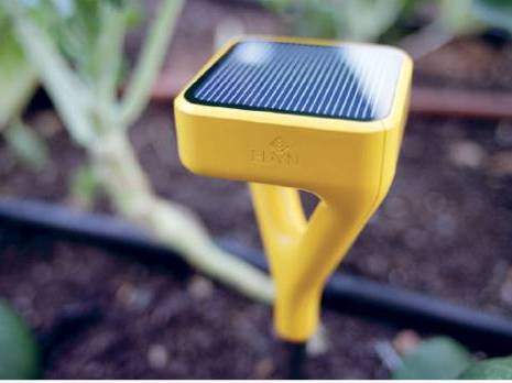 Un capteur pour économiser l'eau dans l'agriculture