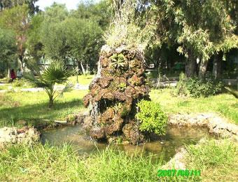 الأوبئة تتربص بالصحة العمومية لسكان الأحياء الشعبية بقسنطينة