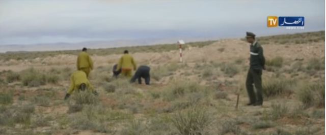 المساجين لتشجير 200 هكتار من الأراضي في الجلفة