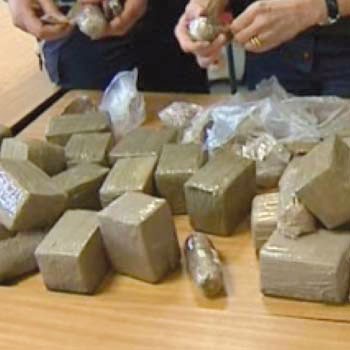 Saisie de 10 kg de drogue à Nedroma