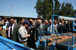 130 متعامل في الصالون الرابع للبطاطا بمستغانم