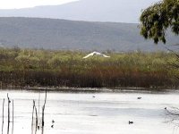 Le désordre écologique sous la loupe des spécialistes