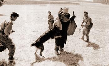 Le mythe des races supérieures