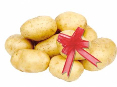 Mostaganem : 150 exposants au salon de la pomme de terre