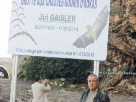 Un arrêté communal pour protéger les chauves-souris