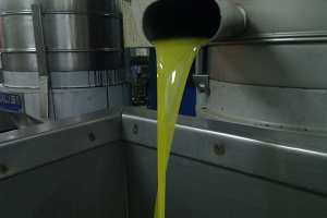 توقعات بارتفاع قياسي في أسعار زيت الزيتون ببجاية