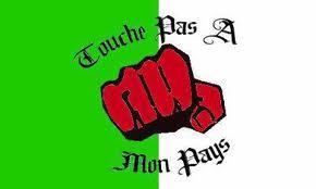 كيف تخُرب البلاد ؟ ...