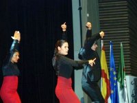 Spectacle de flamenco 