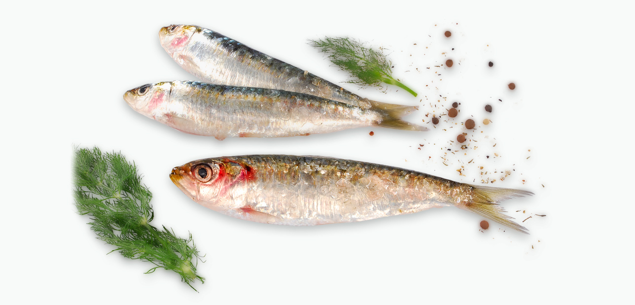 13 conseils nutrition pour garder les os sains et solides