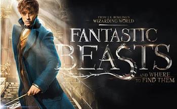 Libère la magie qui est en toi!