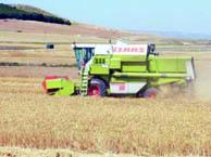 110.000 quintaux de céréales attendus