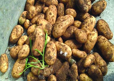 Clôture en apothéose