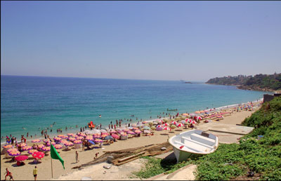 Le groupe Newington propose ses solutions aux cadres algériens