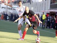 Championnat Ligue 1 (30e et dernière journée)
