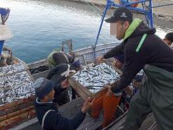 صيادو العاصمة ينتظرون تعويضات فترة الراحة البيولوجية