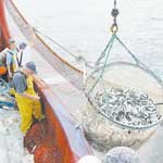 سفينة البحث عن الثروة السمكية في سواحل تموشنت ووهران هذا الأسبوع