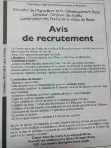 اعلان توظيف بمحافظة الغابات لولاية باتنة : مفتش رئيسي للغابات (03 مناصب)