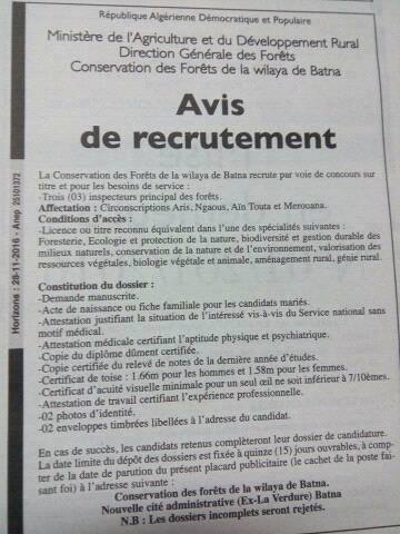 اعلان توظيف بمحافظة الغابات لولاية باتنة : مفتش رئيسي للغابات (03 مناصب)