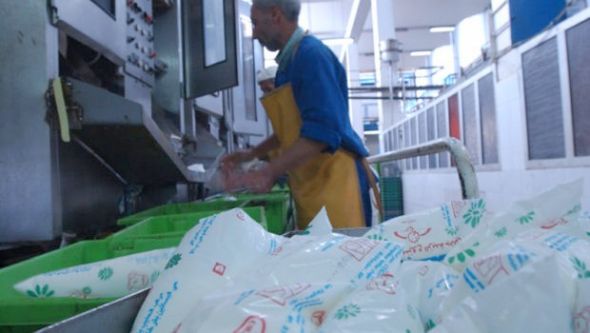 شعبة الحليب بسوق أهراس إنتاج 