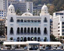 النخلات التي ظهرت في العاصمة 