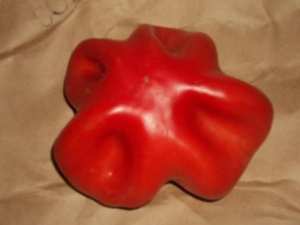 Une tomate de forme inhabituelle