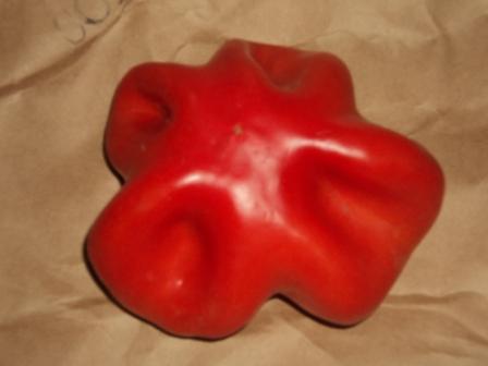 Une tomate de forme inhabituelle