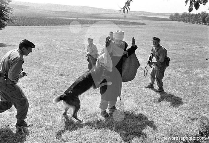 ملامح الشعب الجزائري البطل صانع أعظم ثورة في القرن العشرين.