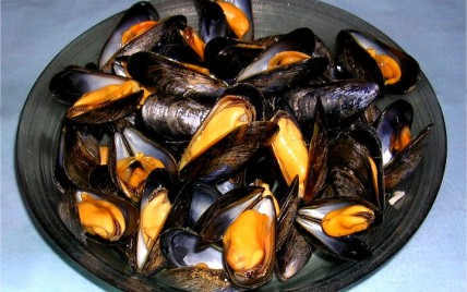 Moules